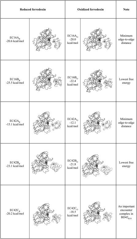 graphic file with name BIO.127548.gs.table02.jpg