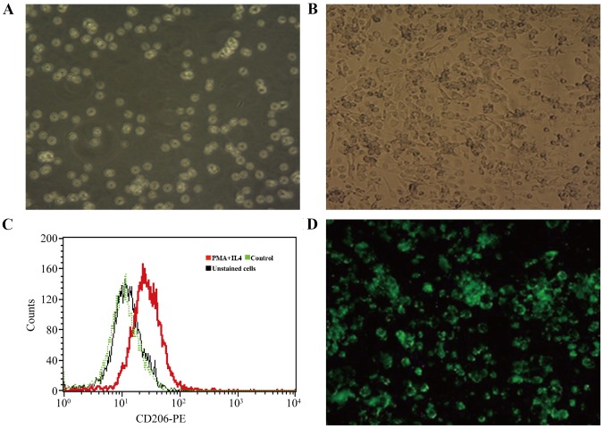 Figure 3.