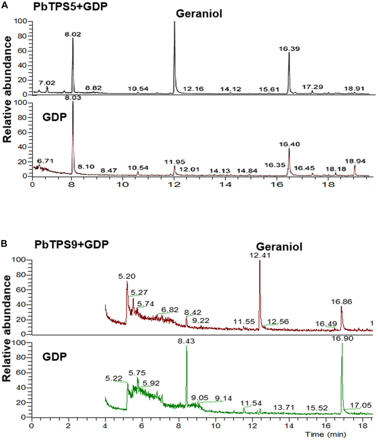 FIGURE 5