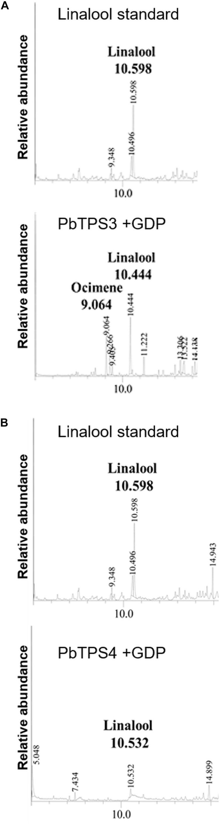 FIGURE 6