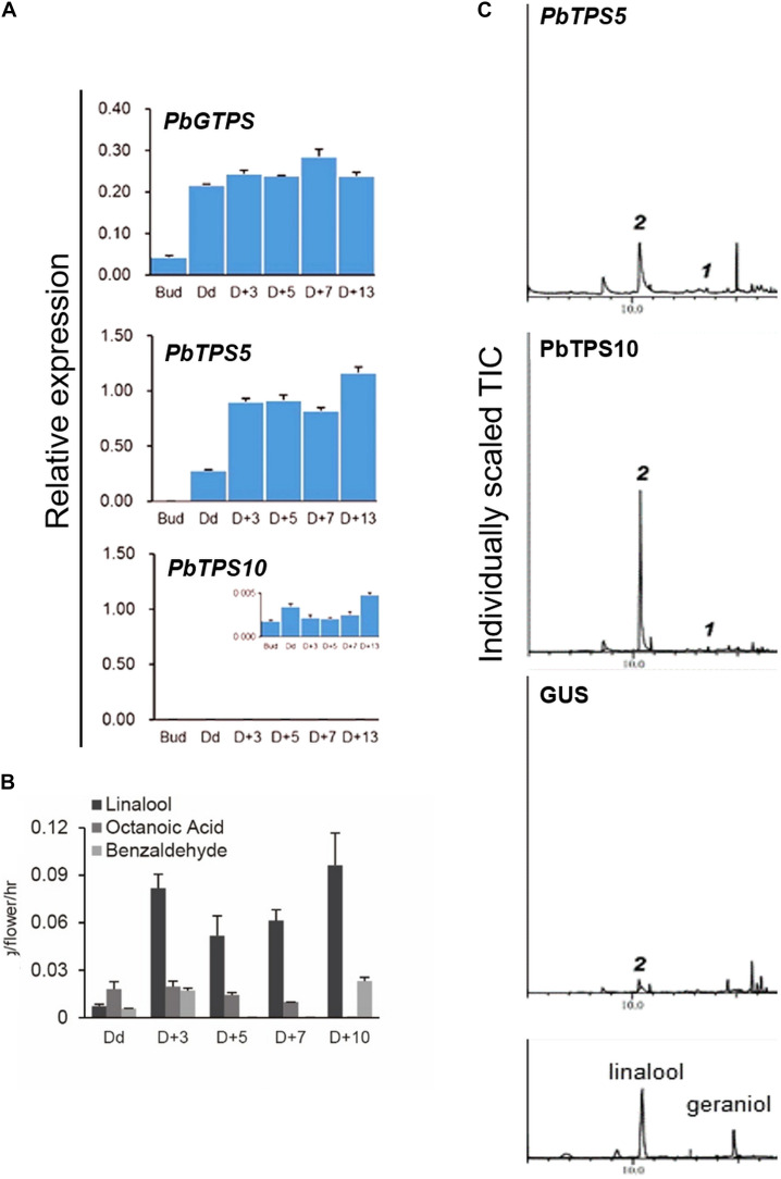 FIGURE 4