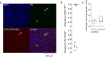 Figure 1—figure supplement 4.