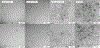 Fig. 10.