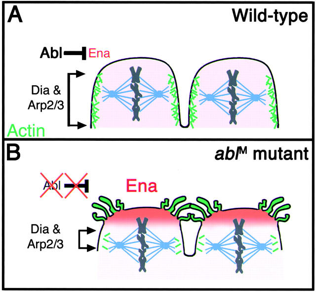 Figure 10.