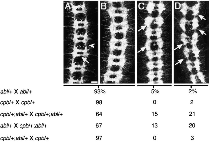 Figure 9.