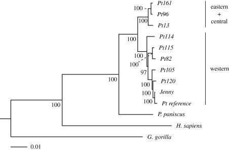 Figure 1.