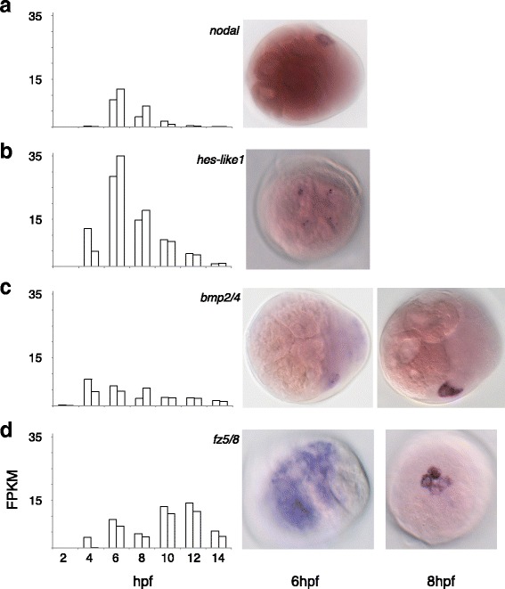 Fig. 9