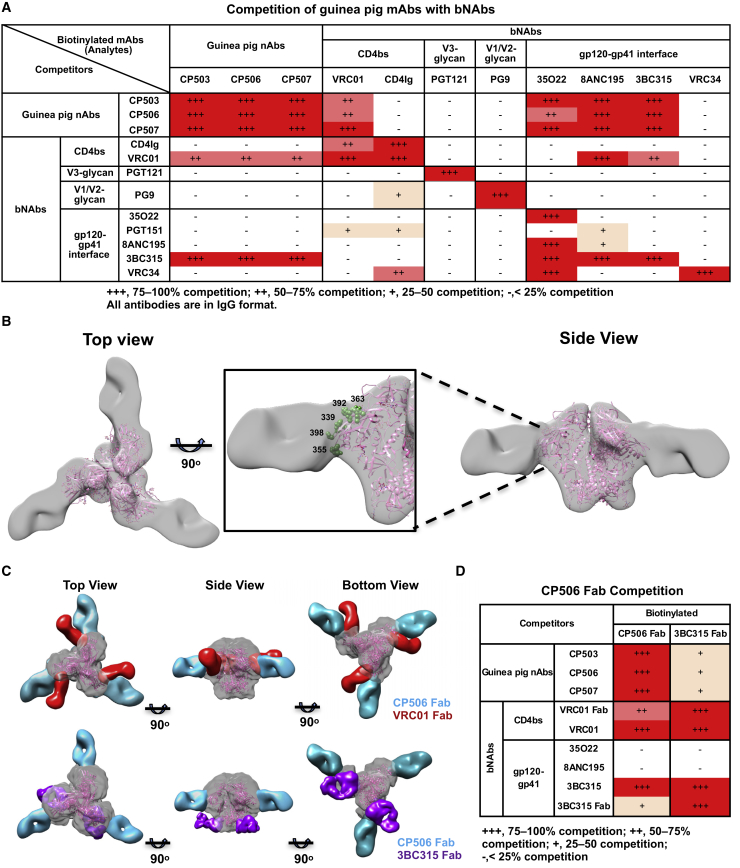 Figure 2