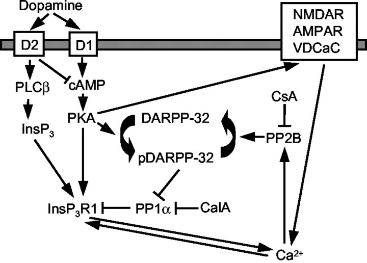 Fig. 11.