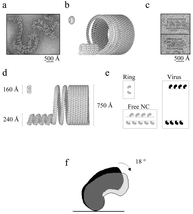 FIG. 6