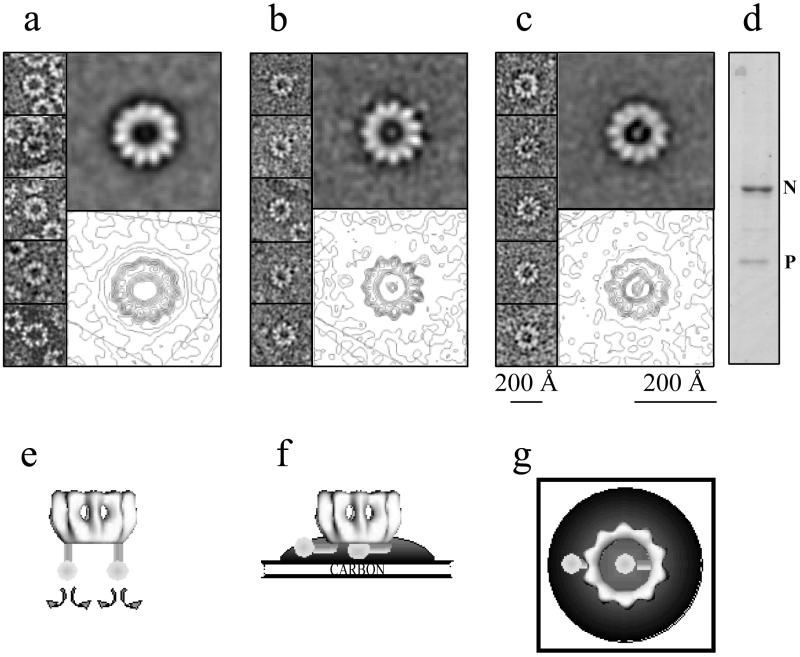 FIG. 5