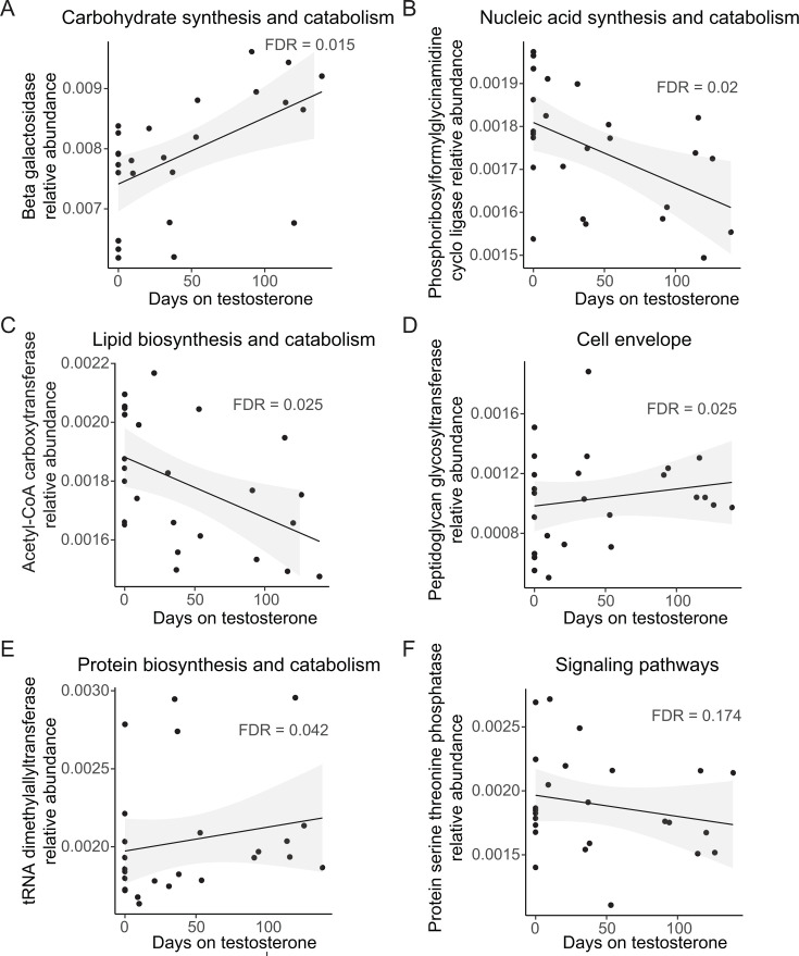 Scatter plots with trend lines illustrate changes both up and down in the relative abundance of different enzymes and pathways as a function of time on testosterone.