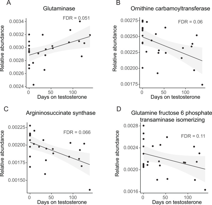 The line graphs show the effect of days on testosterone on enzyme levels. Glutaminase increases and ornithine carbamoyltransferase, argininosuccinate synthase, and glutamine fructose 6-phosphate transaminase decrease.