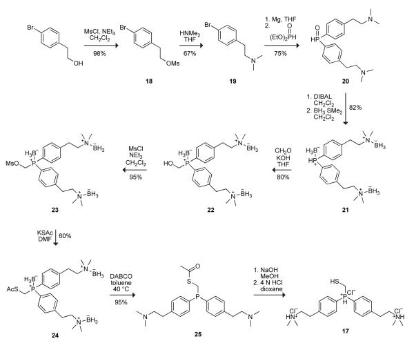 Scheme 5