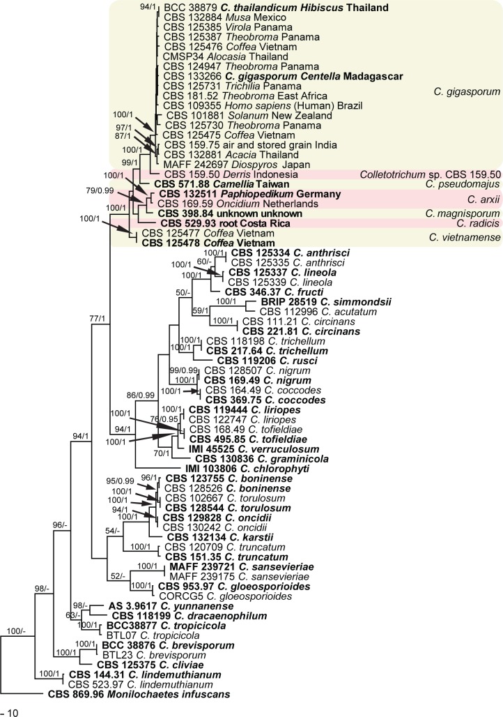 Fig. 2