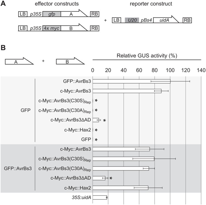 Fig 4