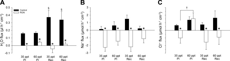 Fig. 9.