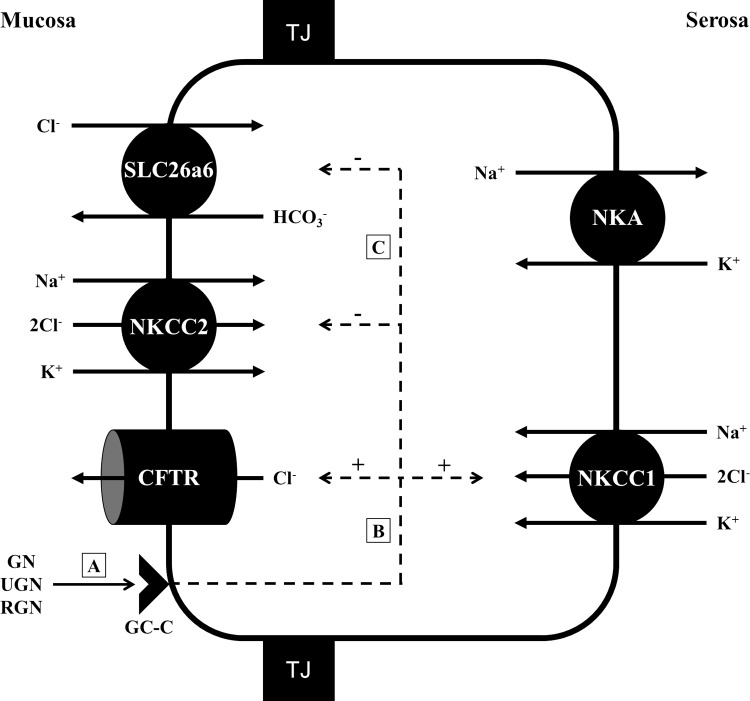 Fig. 10.