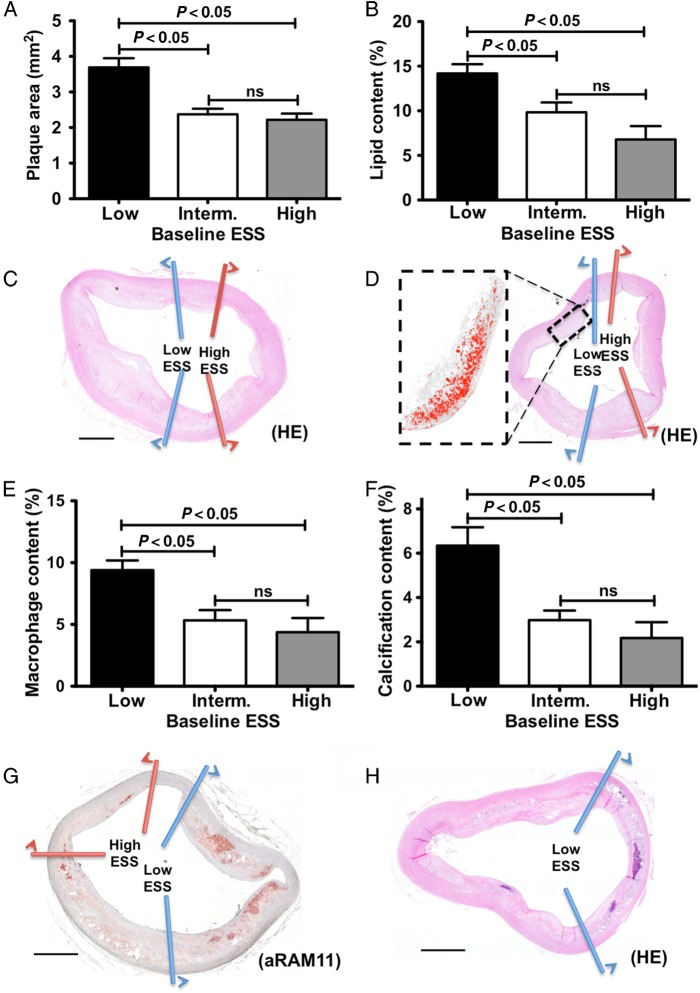 Figure 5