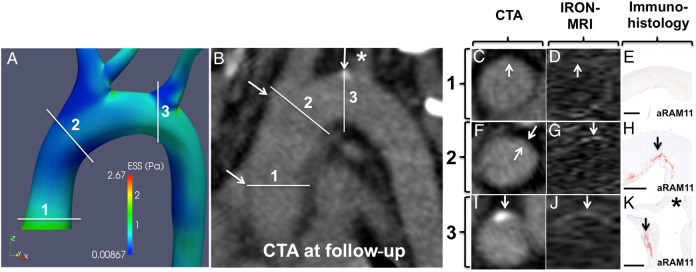 Figure 7