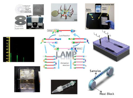 graphic file with name nihms824791u1.jpg