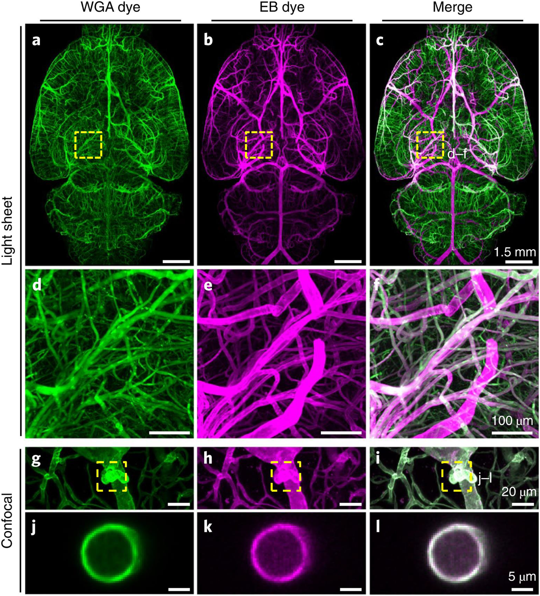 Figure 2 |