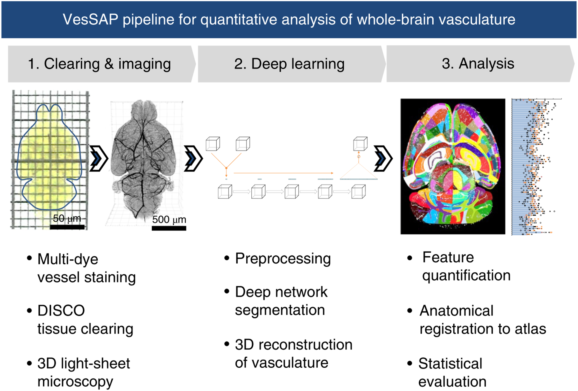 Figure 1 |