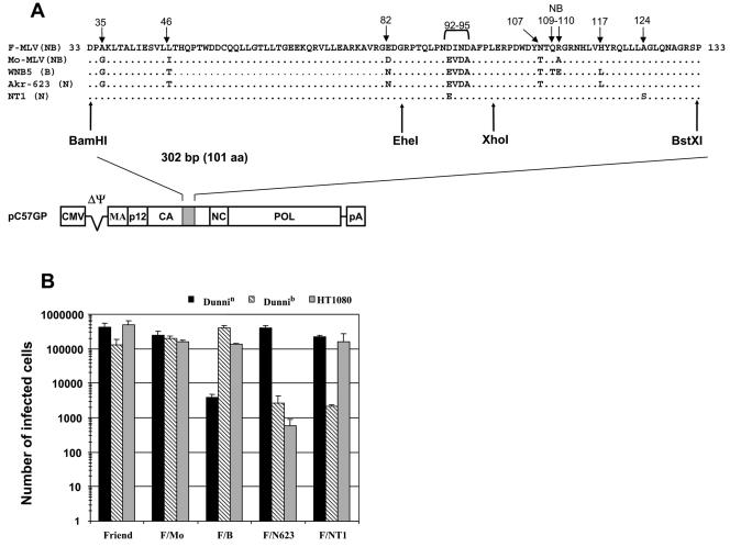 FIG. 1.