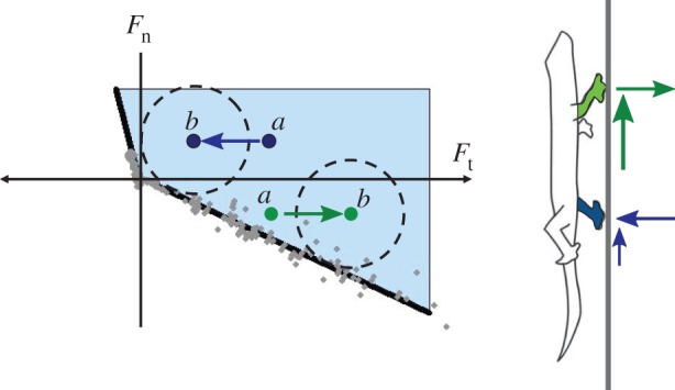 Figure 5.