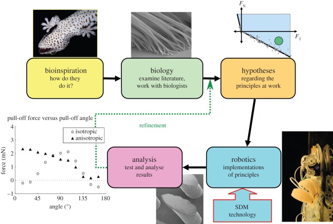 Figure 3.