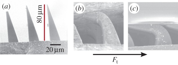 Figure 2.