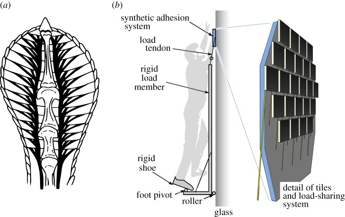 Figure 10.