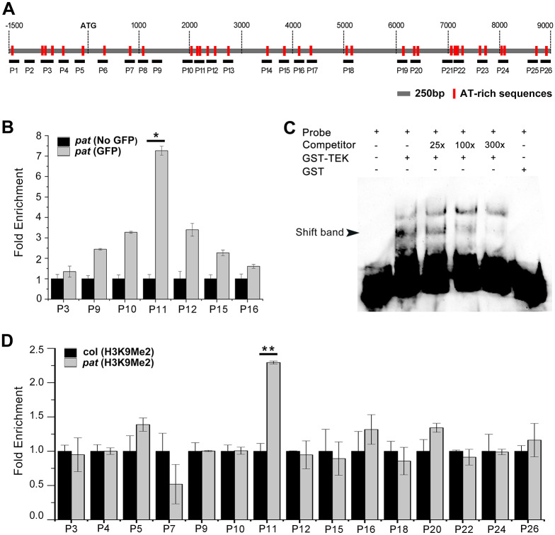 Fig 6