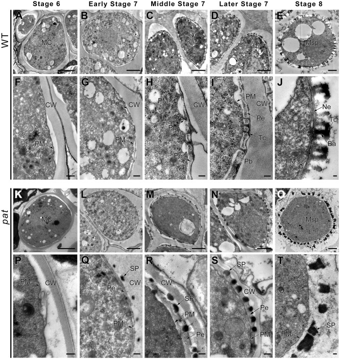 Fig 3