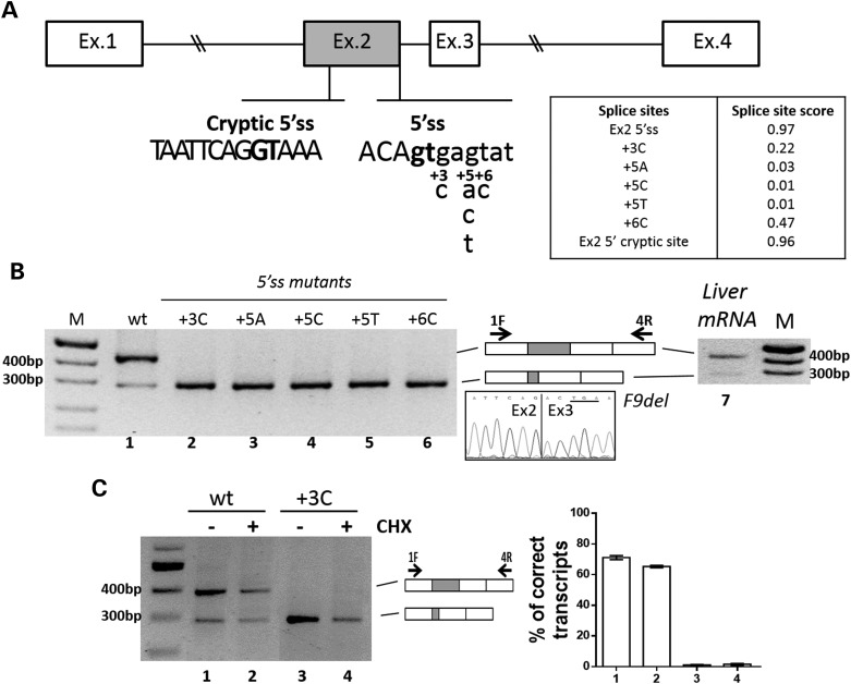 Figure 1.