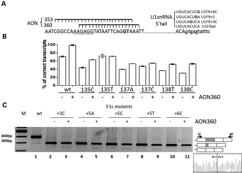 Figure 3.