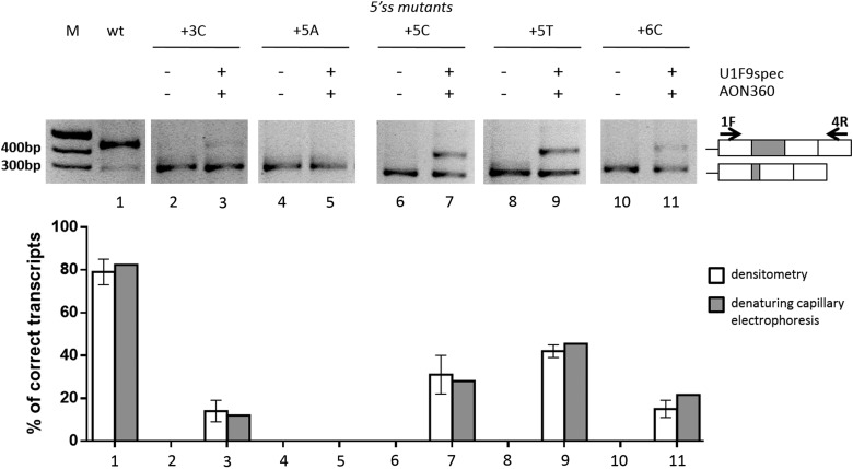 Figure 5.