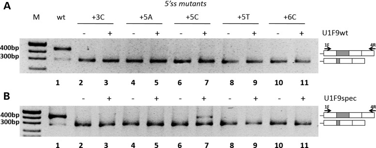 Figure 4.