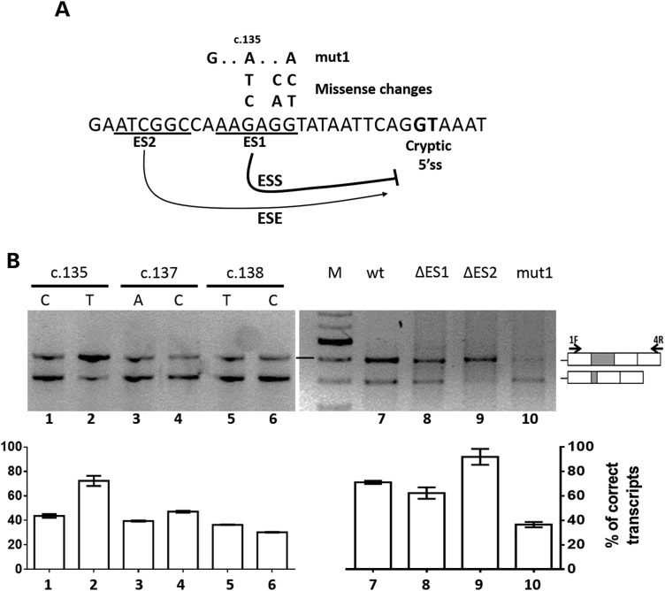 Figure 2.