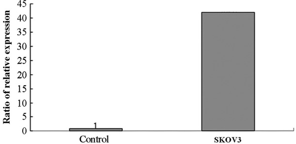 Figure 4.