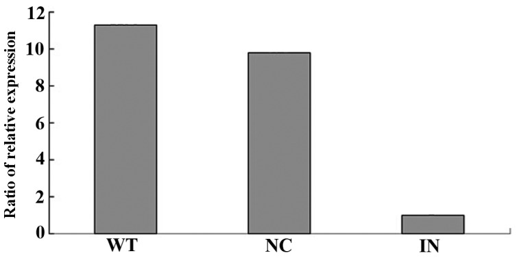 Figure 5.