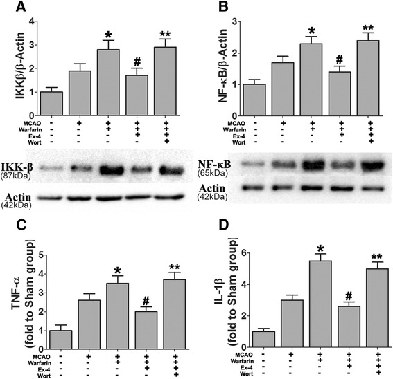 Fig. 8