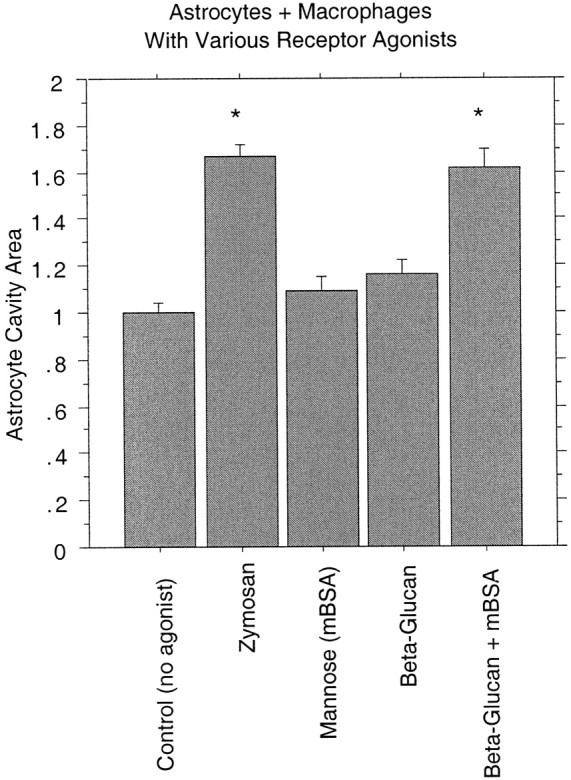 Fig. 9.