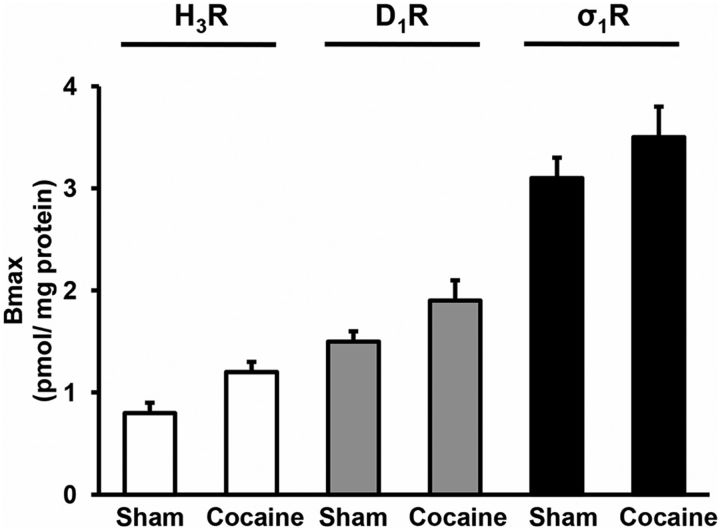 Figure 7.