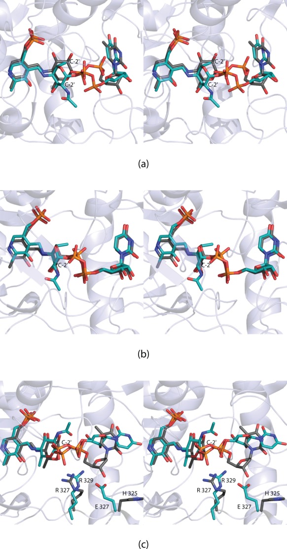 Figure 5