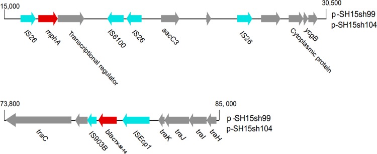 FIG 3