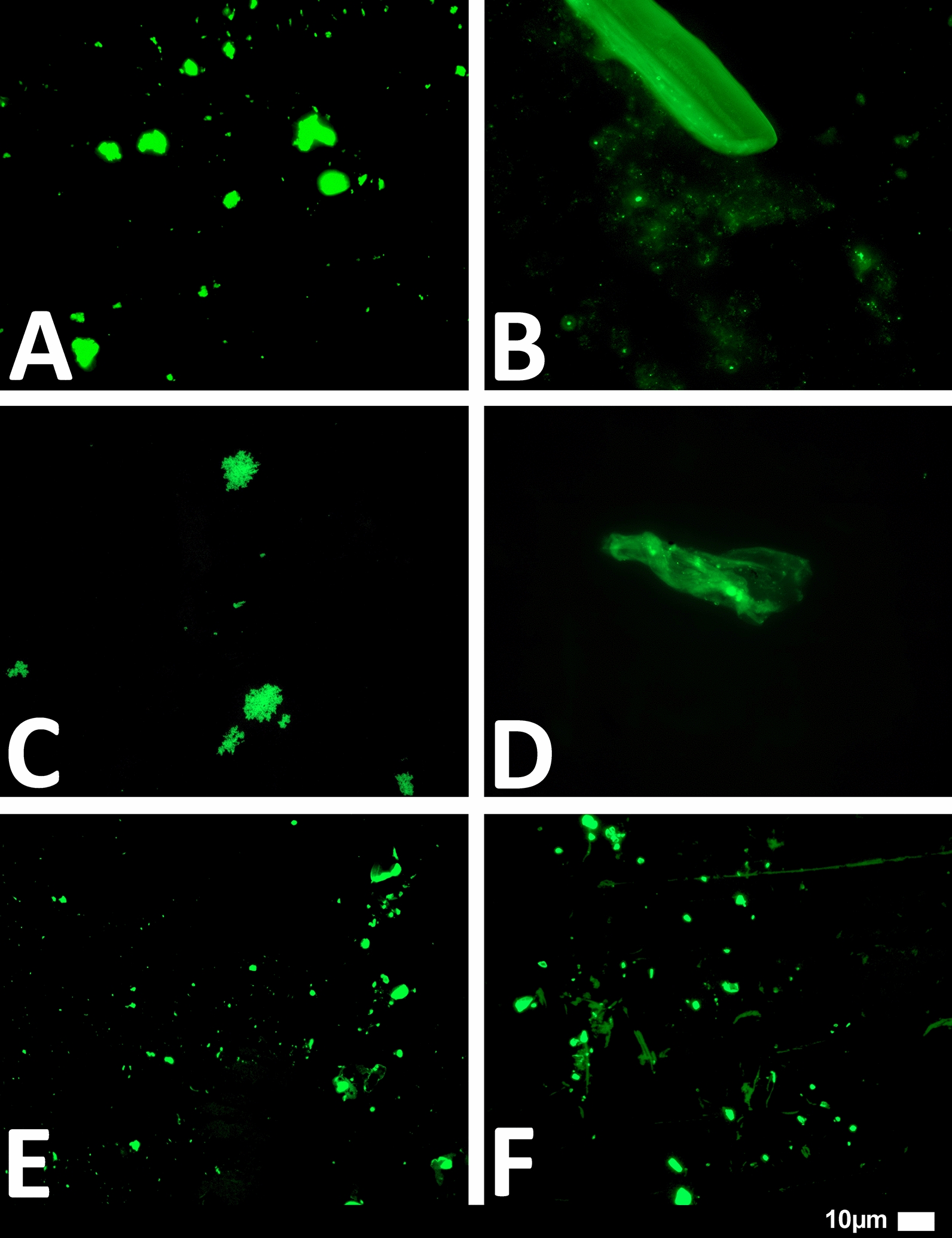 Fig. 10