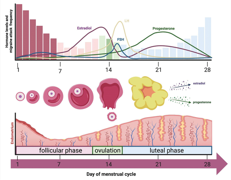 Figure 1.