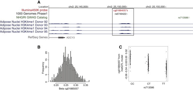 Figure 6