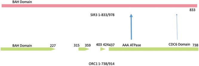 FIGURE 3